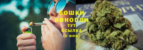 соль ск Новозыбков