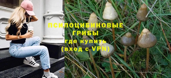 спайс Новодвинск