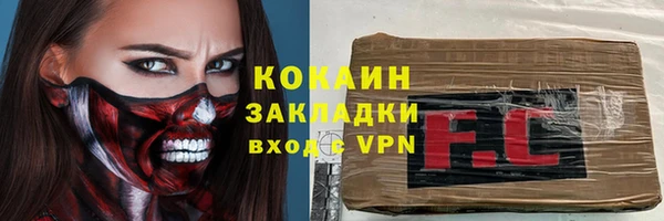 соль ск Новозыбков