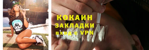 соль ск Новозыбков