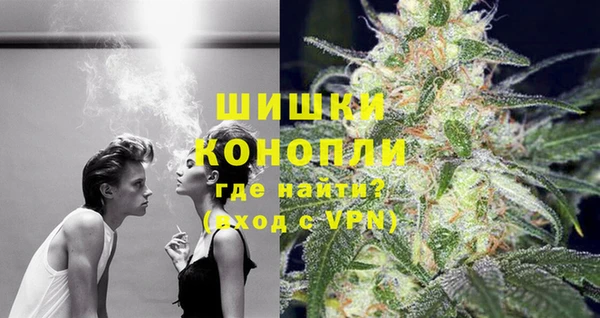 соль ск Новозыбков
