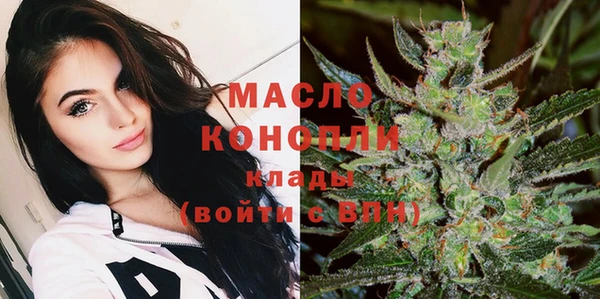 соль ск Новозыбков