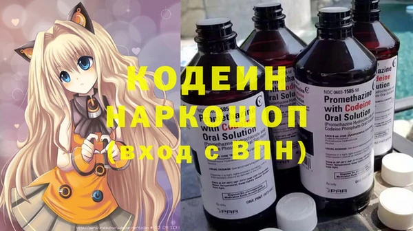 соль ск Новозыбков