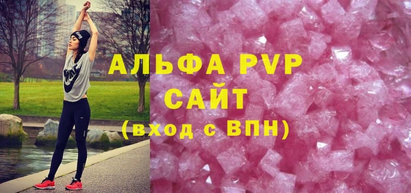 соль ск Новозыбков