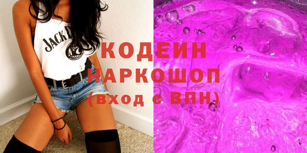 соль ск Новозыбков