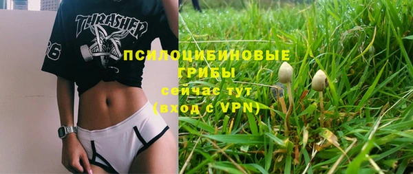 спайс Новодвинск