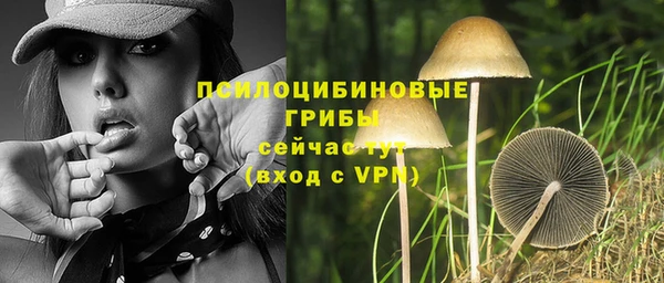соль ск Новозыбков
