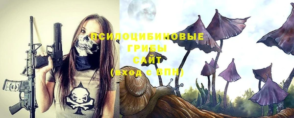 соль ск Новозыбков