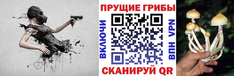 Галлюциногенные грибы Cubensis blacksprut ССЫЛКА Тайга